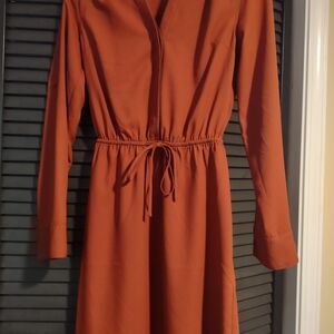 Express Rust Long Sleeve Dress